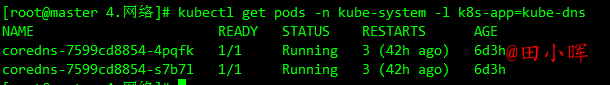 image-20231109142312393