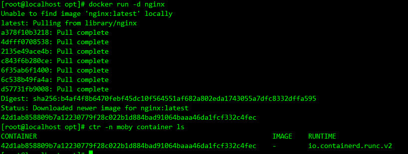image-20231016000255901