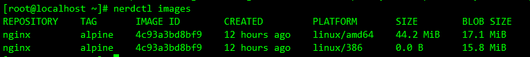 image-20231016104955438