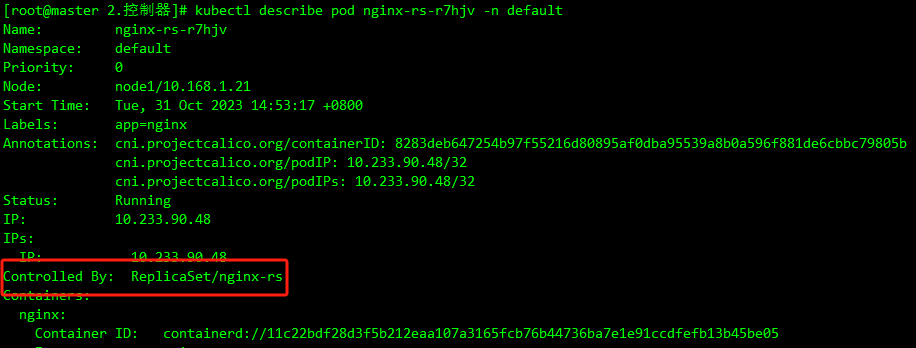 image-20231031151049324
